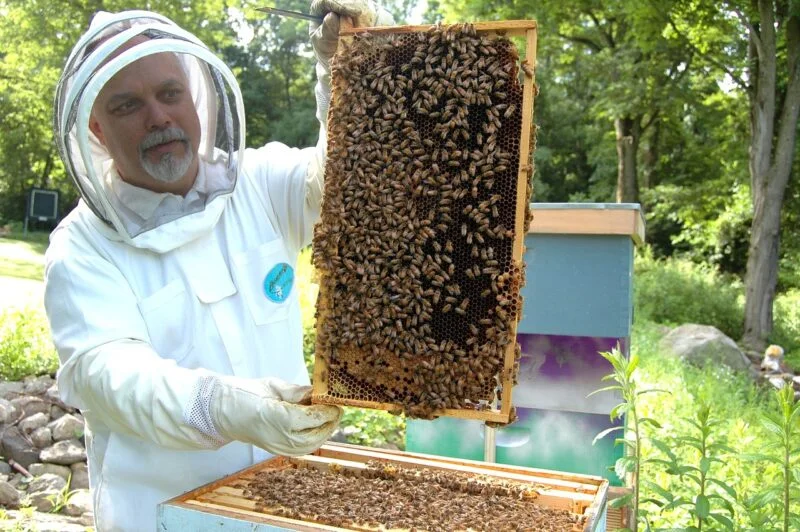 bee hive starter kit
