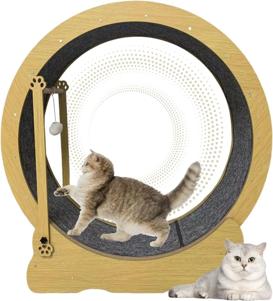 Homegroove Cat Wheel Cat Exercise Wheel for Indoor Cat, Cat Running Wheel with Cat Teaser, Cat Treadmill Wheel for Kitty’s Longer Life, Cat Exercise Wheel for Fitness, 39.3 H Natural Wood Color(M)
