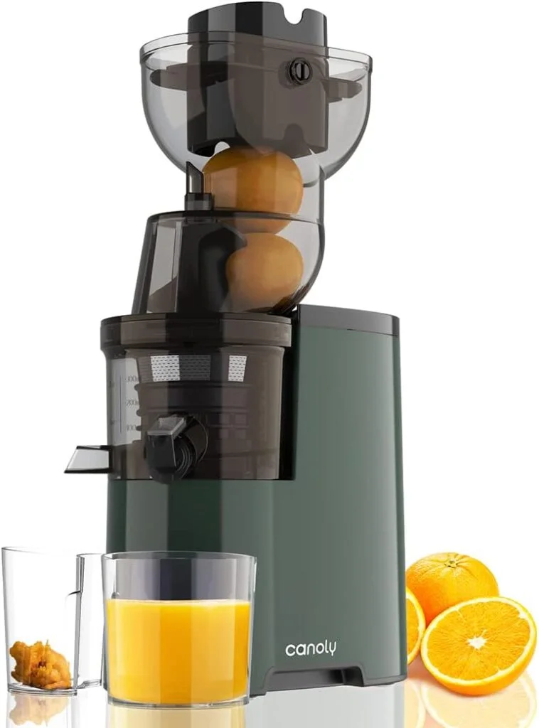 Masticating Juicer, 250W Professional Slow Juicer with 3.5-inch (88mm) Large Feed Chute for Nutrient Fruits and Vegetables, Cold Press Electric Juicer Machines with High Juice Yield, Easy Cleaning