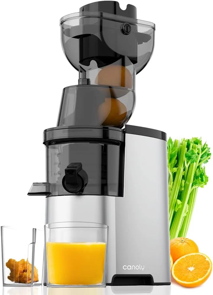 Masticating Juicer, 300W Professional Slow Juicer with 3.5-inch (88mm) Large Feed Chute for Nutrient Fruits and Vegetables, Cold Press Electric Juicer Machines with High Juice Yield, Easy Clean with Brush