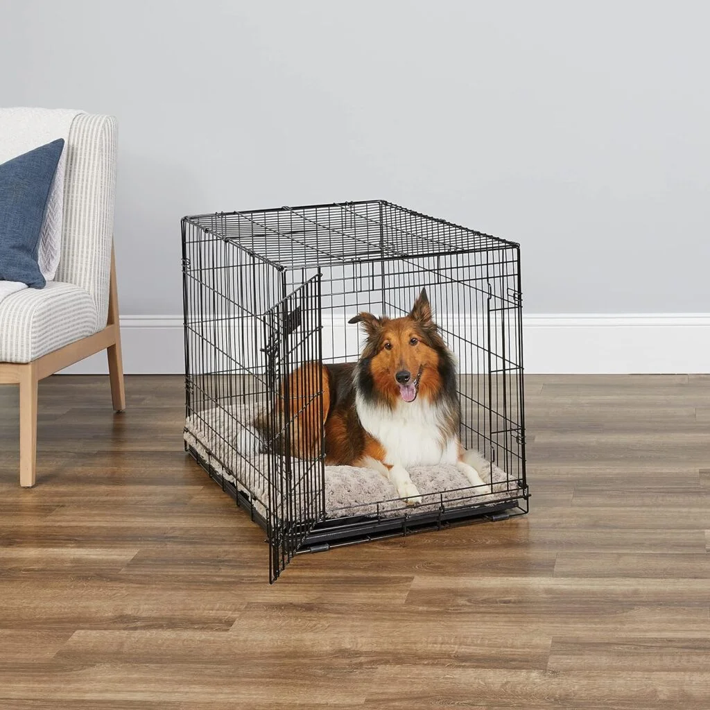 MidWest Homes for Pets Newly Enhanced Single Double Door iCrate Dog Crate, Includes Leak-Proof Pan, Floor Protecting Feet, Divider Panel New Patented Features