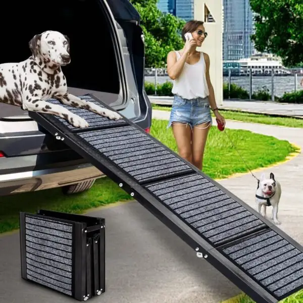 car dog ramp