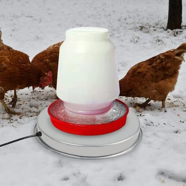 chicken water heater