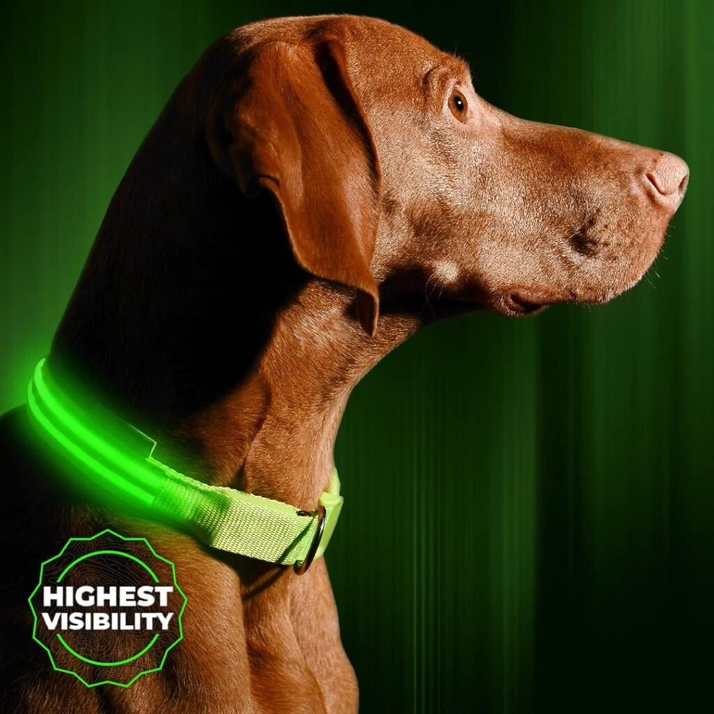 Illumiseen LED Dog Collar USB Rechargeable - Bright High Visibility Lighted Glow Collar for Pet Night Walking - Weatherproof, in 6 Colors 6 Sizes (Green Large)