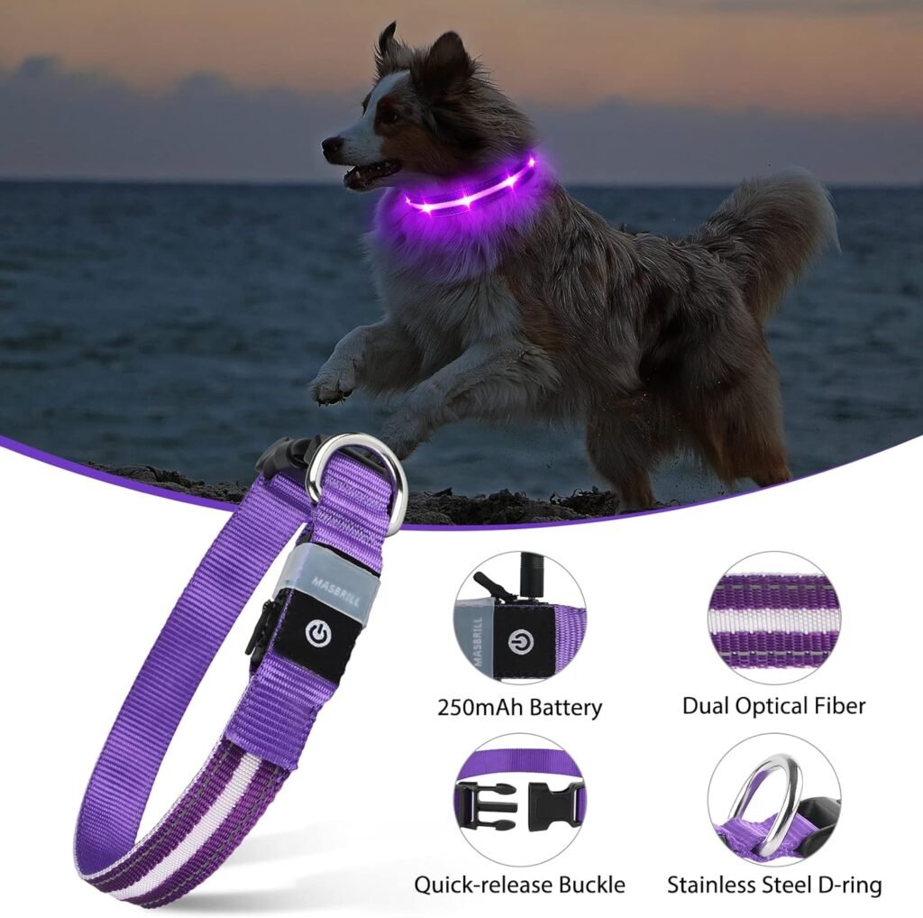 MASBRILL Led Dog Collar-Rechargeable Light Up Dog Collars Water-Resistant Lighted Dog Collar Flashing Glowing Dog Collar Night Walking Collar for Dogs