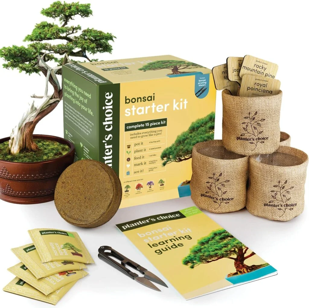 Bonsai Starter Kit - Gardening Gift for Women Men - Bonsai Tree Growing Garden Crafts Hobby Kits for Adults, Unique DIY Hobbies for Plant Lovers - Unusual Christmas Gifts Ideas, or Gardener Mother