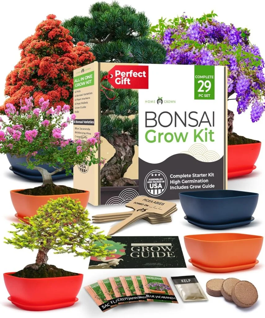 HOME GROWN Bonsai Tree Kit: Unique Christmas Gifts for Men - Bonsai Starter Kit w/ 6 Seed Varieties - Unique Designed Pots - All-in-One Craft Kit for Adults for Gardeners Plant Lovers