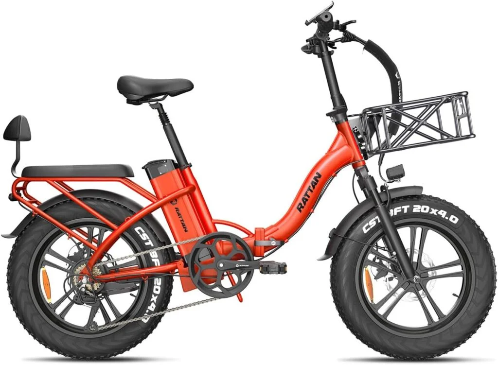 Rattan 750W Electric Bike for Adults 48V 13AH Removable Battery Foldable Electric Bikes LM/LF Pro Ebike 20 x 4.0 Fat Tire Electric Bicycles 2 Seater
